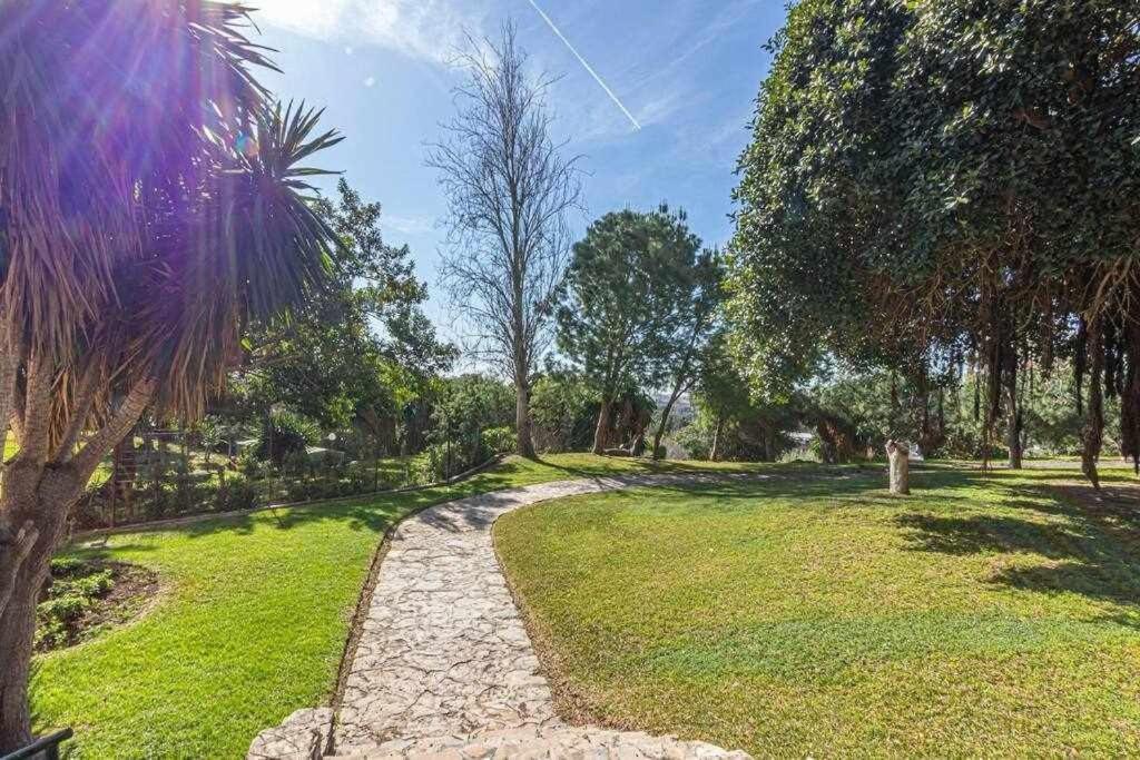 797 Holiday Rentals - Equipado Estudio Cerca Del Parque La Paloma เบนัลมาเดนา ภายนอก รูปภาพ