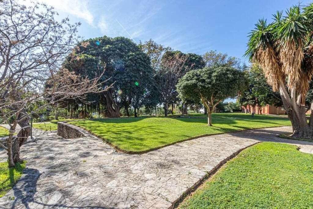 797 Holiday Rentals - Equipado Estudio Cerca Del Parque La Paloma เบนัลมาเดนา ภายนอก รูปภาพ